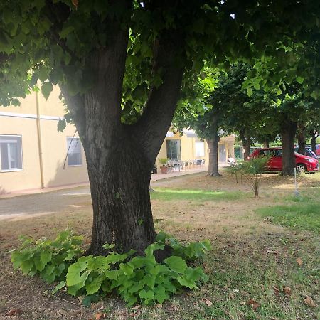 Hotel Argo Римини Экстерьер фото